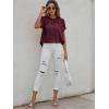 imageMilumia Womens Casual Swiss Dots Chiffon Ruffle Front Short Sleeve Work Office Blouse TopClaret